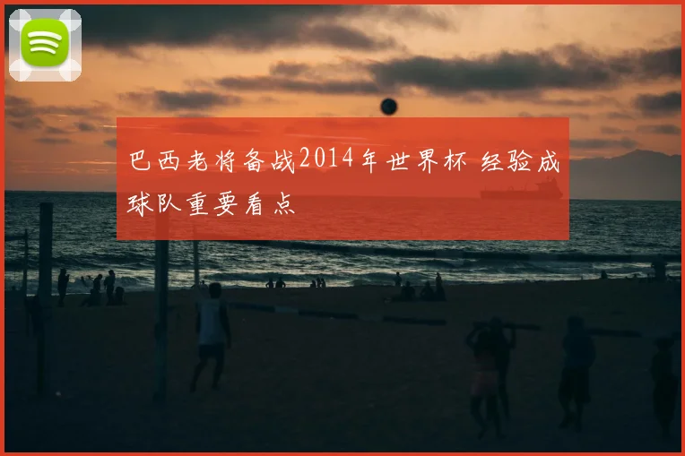 巴西老将备战2014年世界杯 经验成球队重要看点
