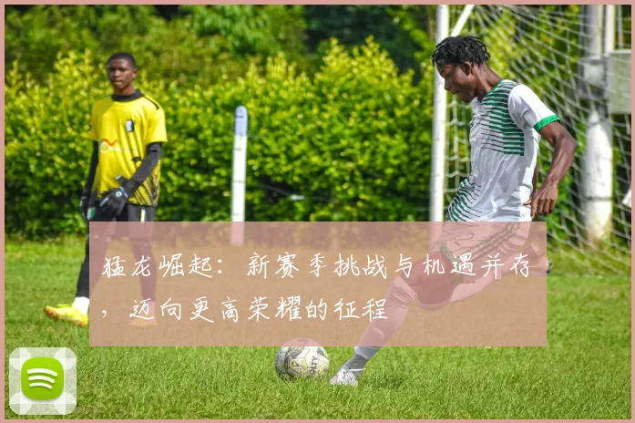 猛龙崛起：新赛季挑战与机遇并存，迈向更高荣耀的征程