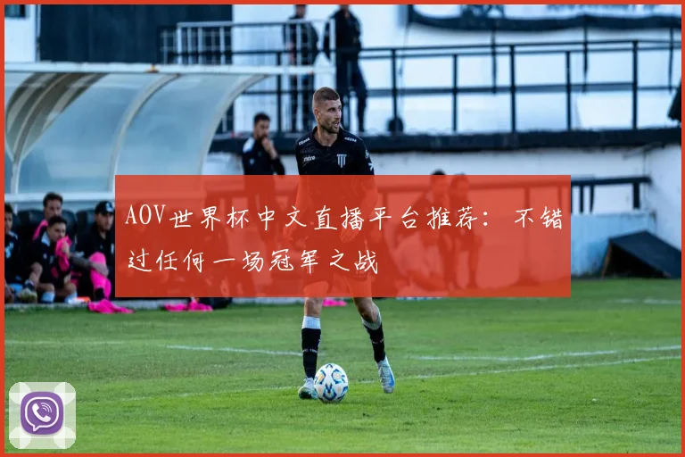 AOV世界杯中文直播平台推荐：不错过任何一场冠军之战