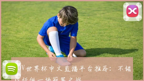 AOV世界杯中文直播平台推荐:不错过任何一场冠军之战