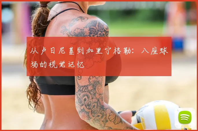 从卢日尼基到加里宁格勒：八座球场的视觉记忆