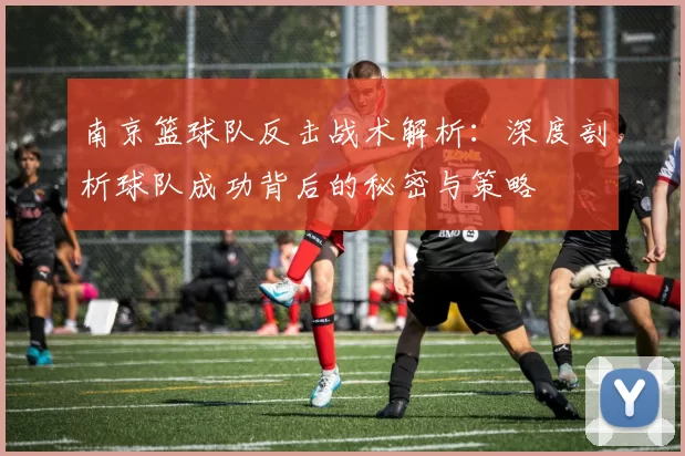 南京篮球队反击战术解析：深度剖析球队成功背后的秘密与策略