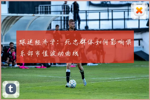 球迷经济学：死忠群体如何影响俱乐部市值波动曲线