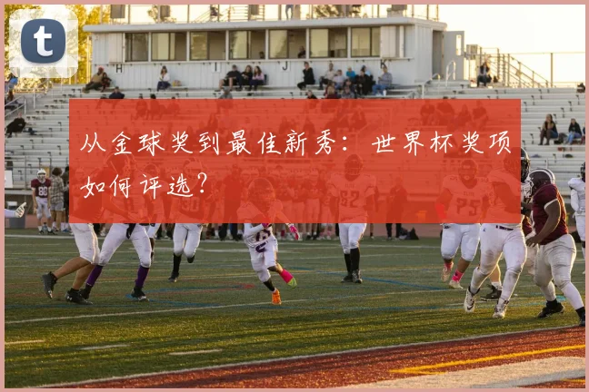 从金球奖到最佳新秀：世界杯奖项如何评选？