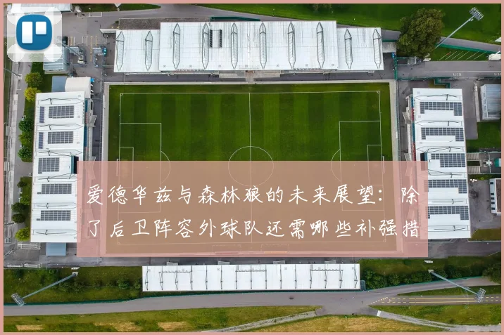爱德华兹与森林狼的未来展望：除了后卫阵容外球队还需哪些补强措施