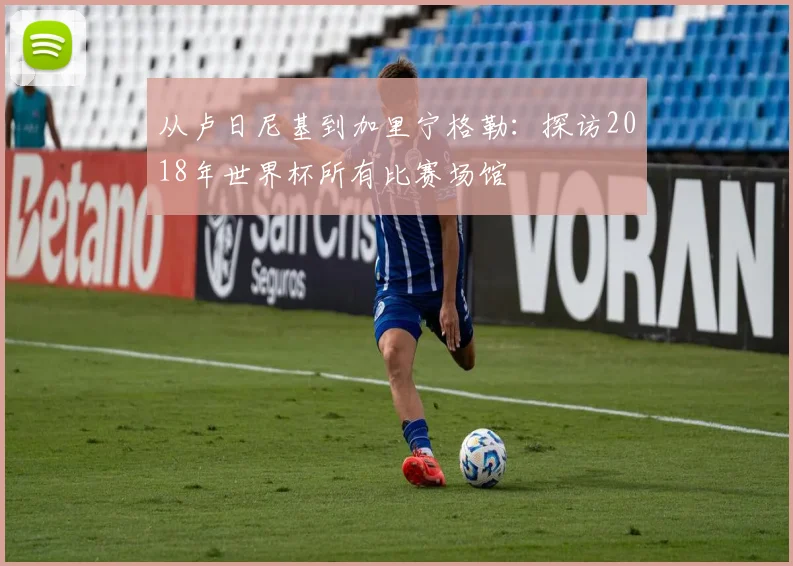 从卢日尼基到加里宁格勒:探访2018年世界杯所有比赛场馆