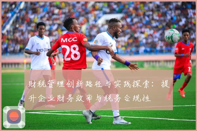 财税管理创新路径与实践探索：提升企业财务效率与税务合规性