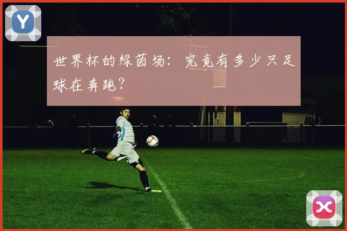 世界杯的绿茵场：究竟有多少只足球在奔跑？