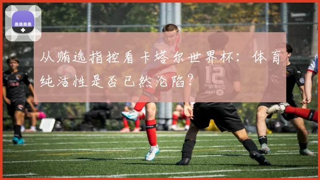 从贿选指控看卡塔尔世界杯:体育纯洁性是否已然沦陷?