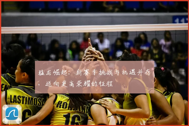 猛龙崛起：新赛季挑战与机遇并存，迈向更高荣耀的征程