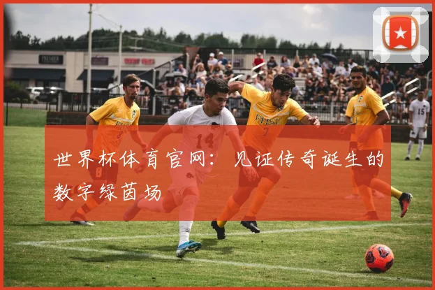 世界杯体育官网:见证传奇诞生的数字绿茵场