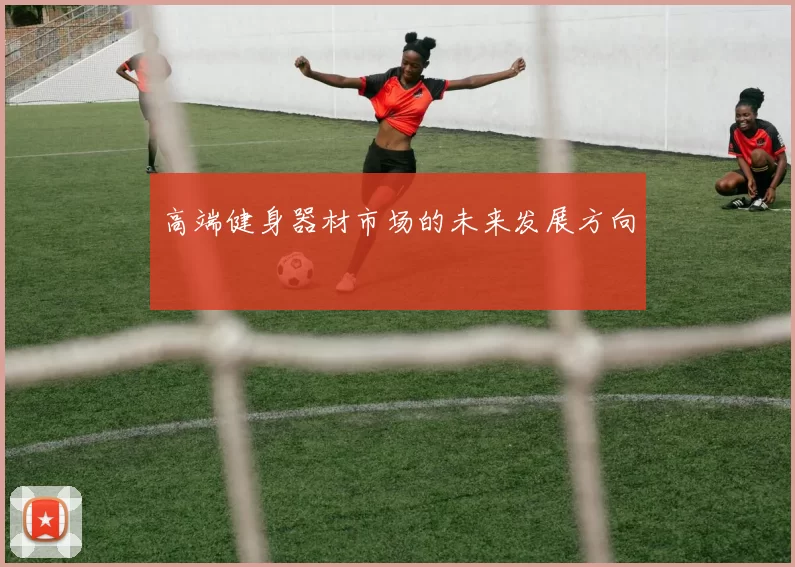 高端健身器材市场的未来发展方向