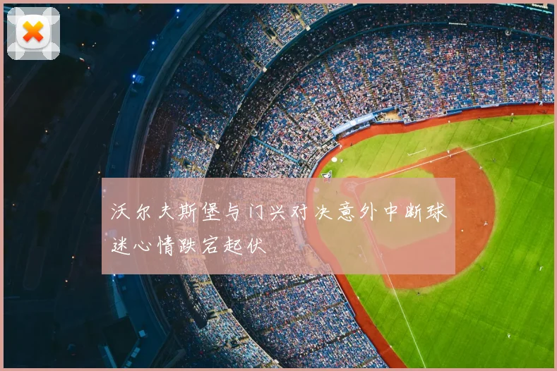 沃尔夫斯堡与门兴对决意外中断球迷心情跌宕起伏