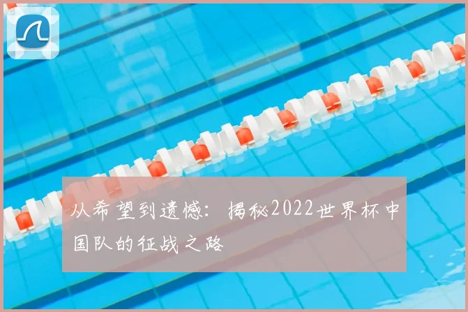 从希望到遗憾:揭秘2022世界杯中国队的征战之路