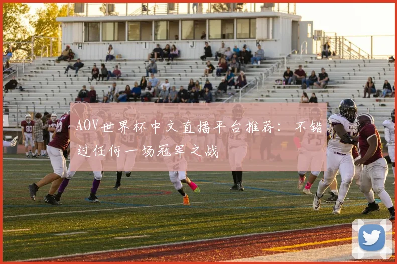 AOV世界杯中文直播平台推荐：不错过任何一场冠军之战