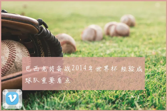 巴西老将备战2014年世界杯 经验成球队重要看点