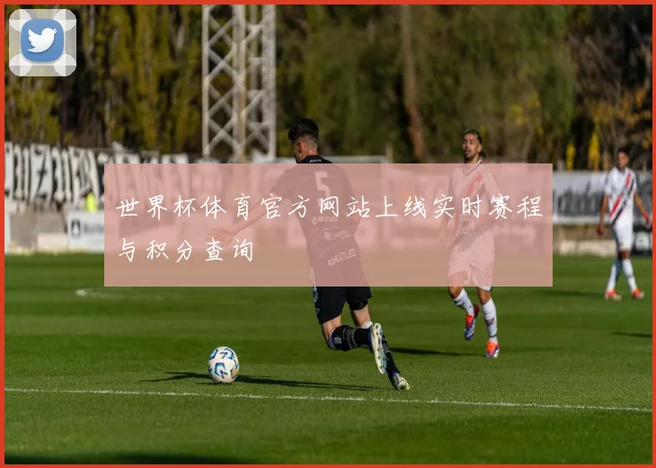世界杯体育官方网站上线实时赛程与积分查询